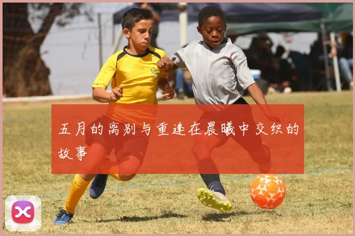 五月的离别与重逢在晨曦中交织的故事