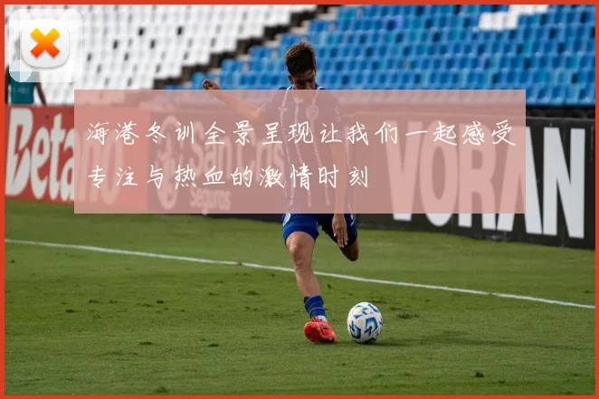 海港冬训全景呈现让我们一起感受专注与热血的激情时刻