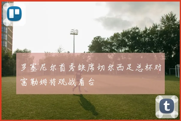 罗塞尼尔首秀缺席切尔西足总杯对富勒姆将观战看台